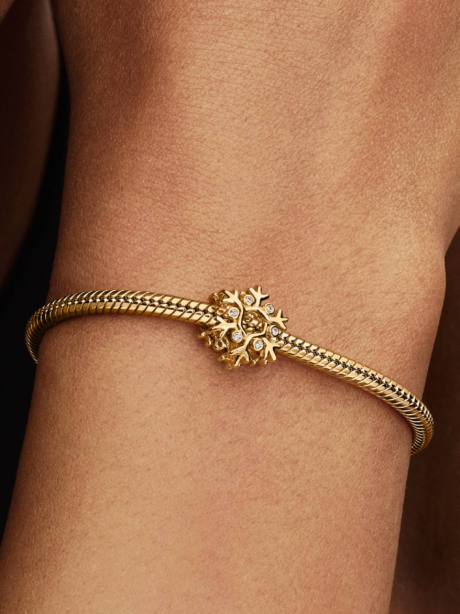 Charm Copo de Nieve