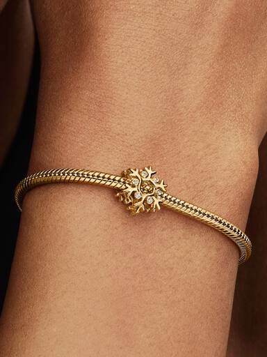 Charm Copo de Nieve