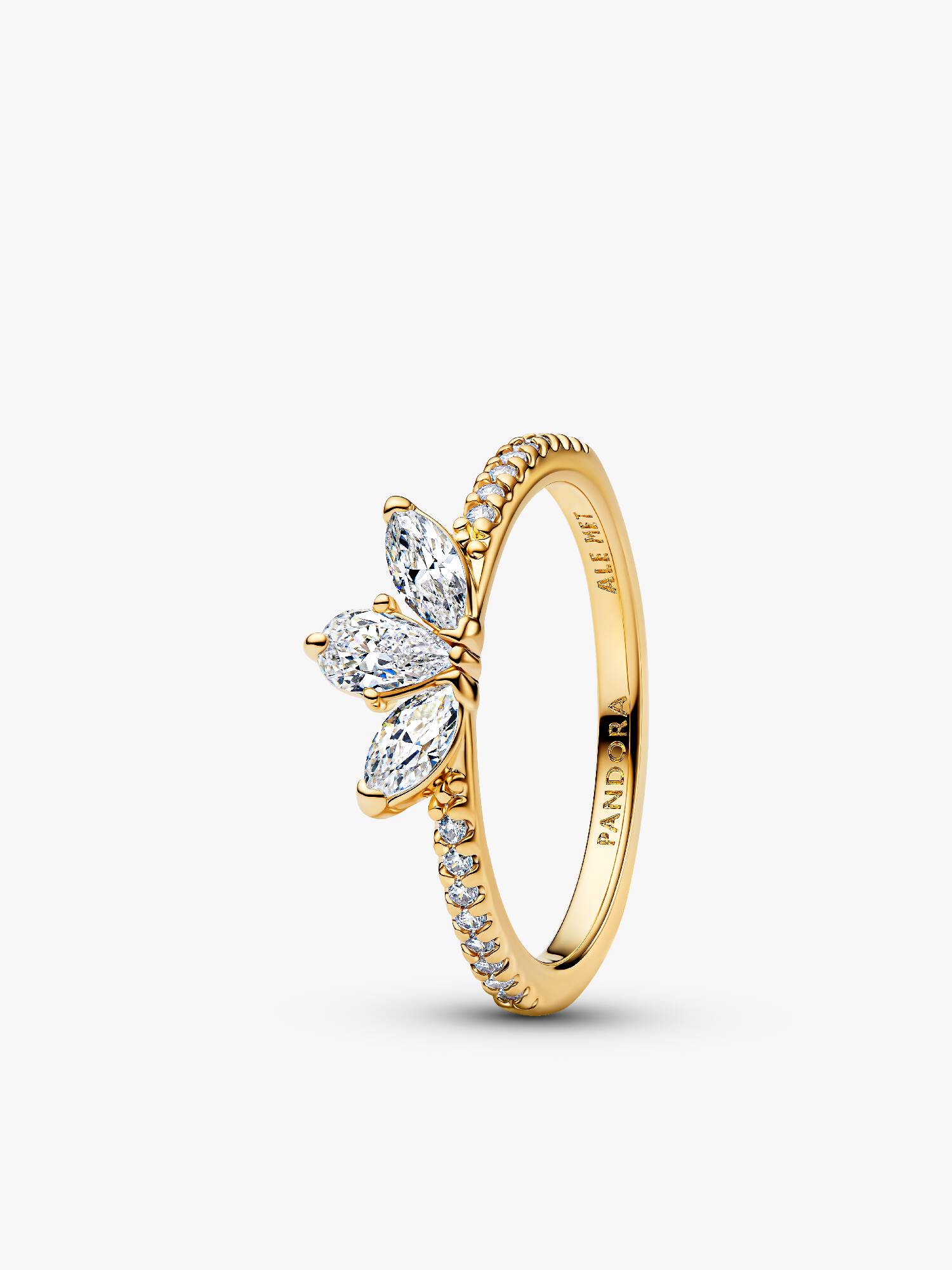 Anillo Herbario Brillante