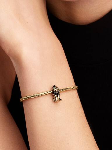 Charm Scar de Villanos de Disney