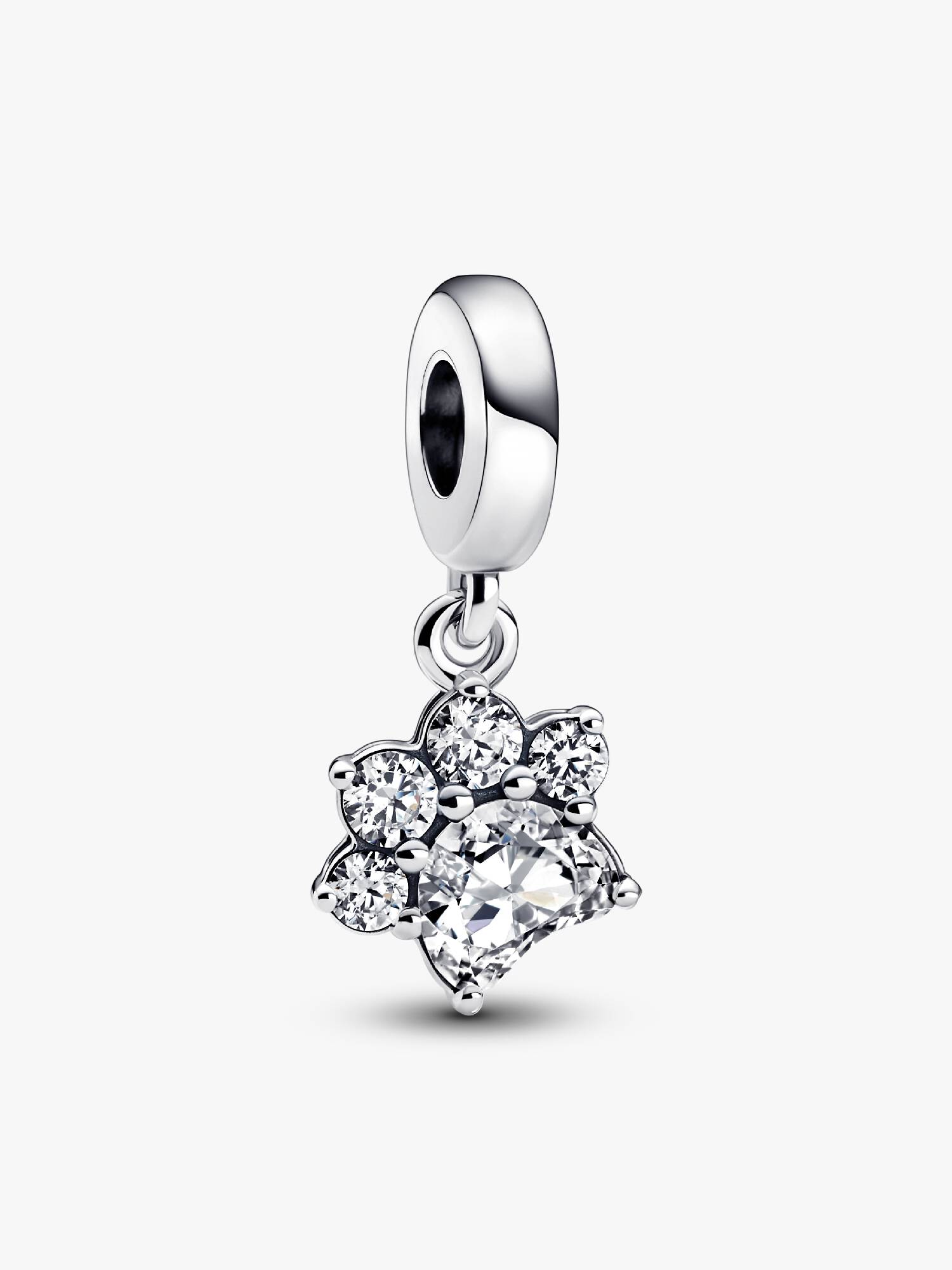 Charm Colgante Huella de Mascota Brillante