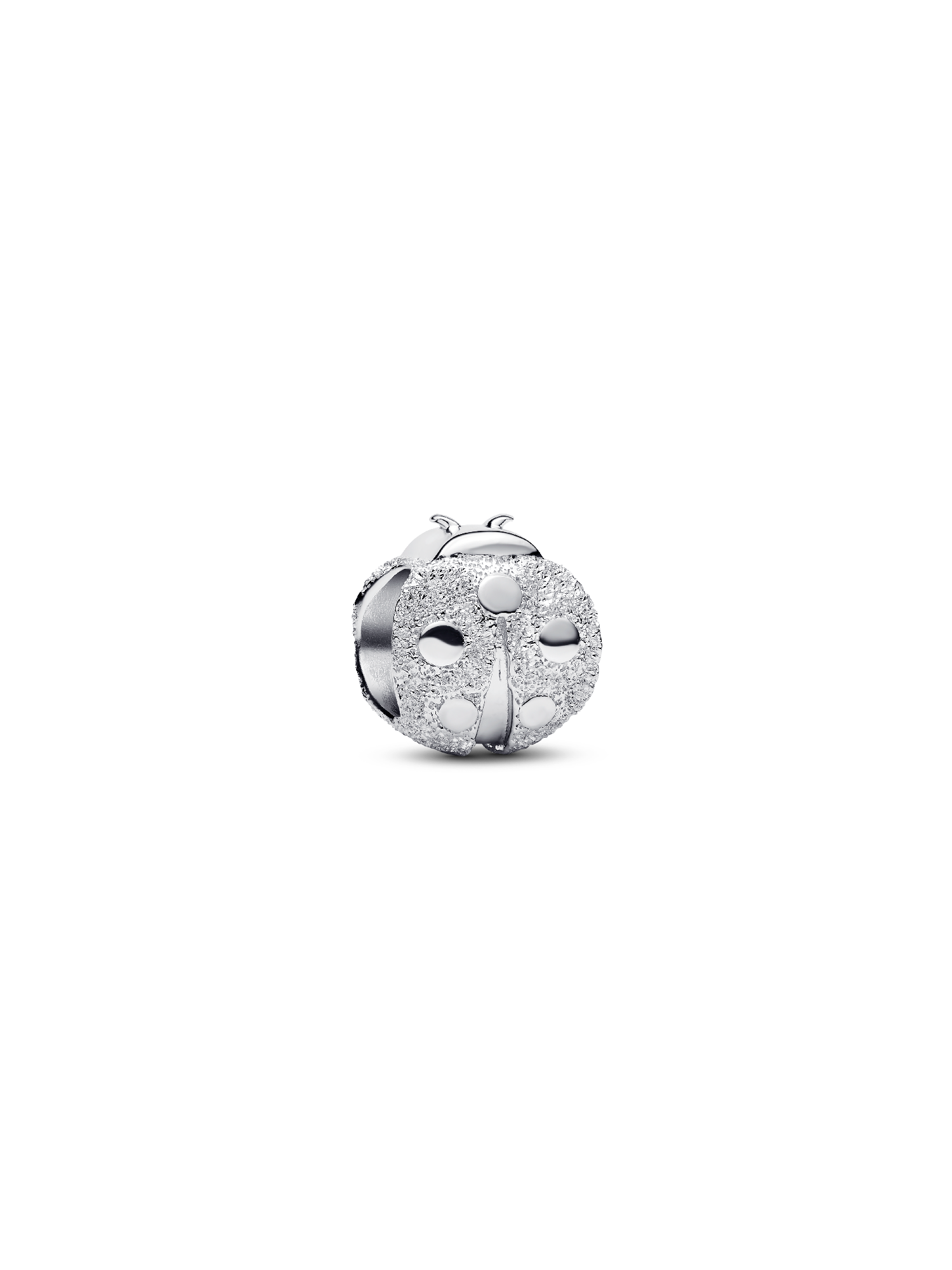 Charm Mini Mariquita Textura
