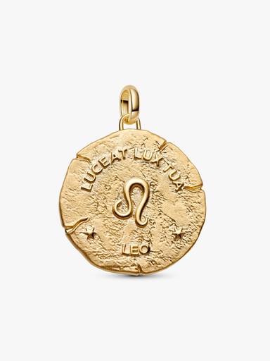 Charm Medallón XL Zodiaco Leo