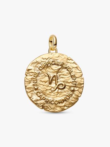 Charm Medallón XL Zodiaco Capricornio