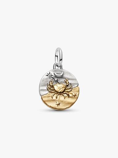 Charm Medallón Zodiaco Cáncer