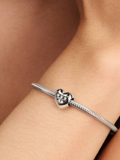 Charm Corazón y Monstruitos de Mamá