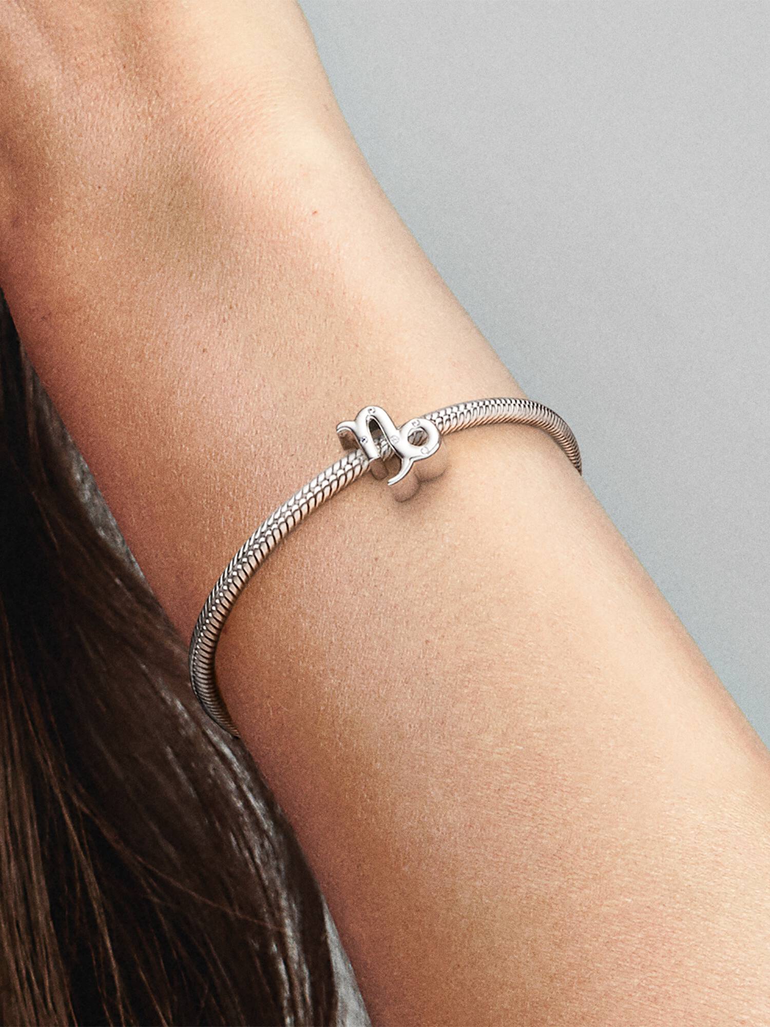 Charm Zodiaco Capricornio Brillante