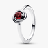Anillo Círculo Eternity Gema del Mes de Julio Anillo Círculo Eternity Gema del Mes de Julio