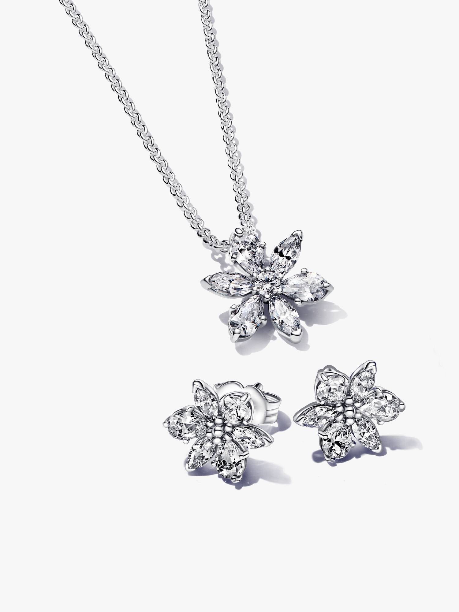 Conjunto de Regalo Herbario Brillante II