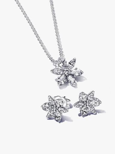 Conjunto de Regalo Herbario Brillante II