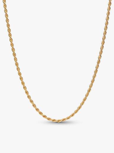 Conjunto de Regalo Lagarto Dorado