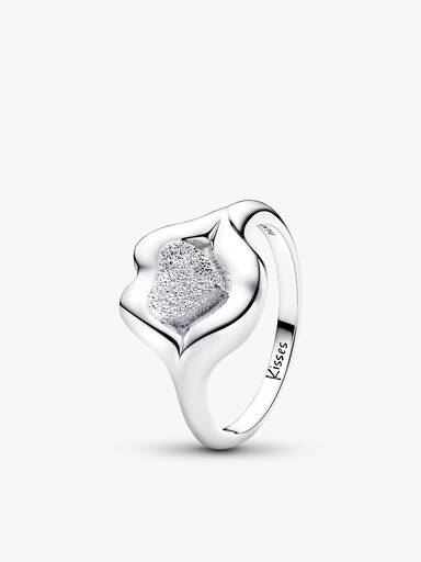 Conjunto de regalo completo Anillos Labios de Amor