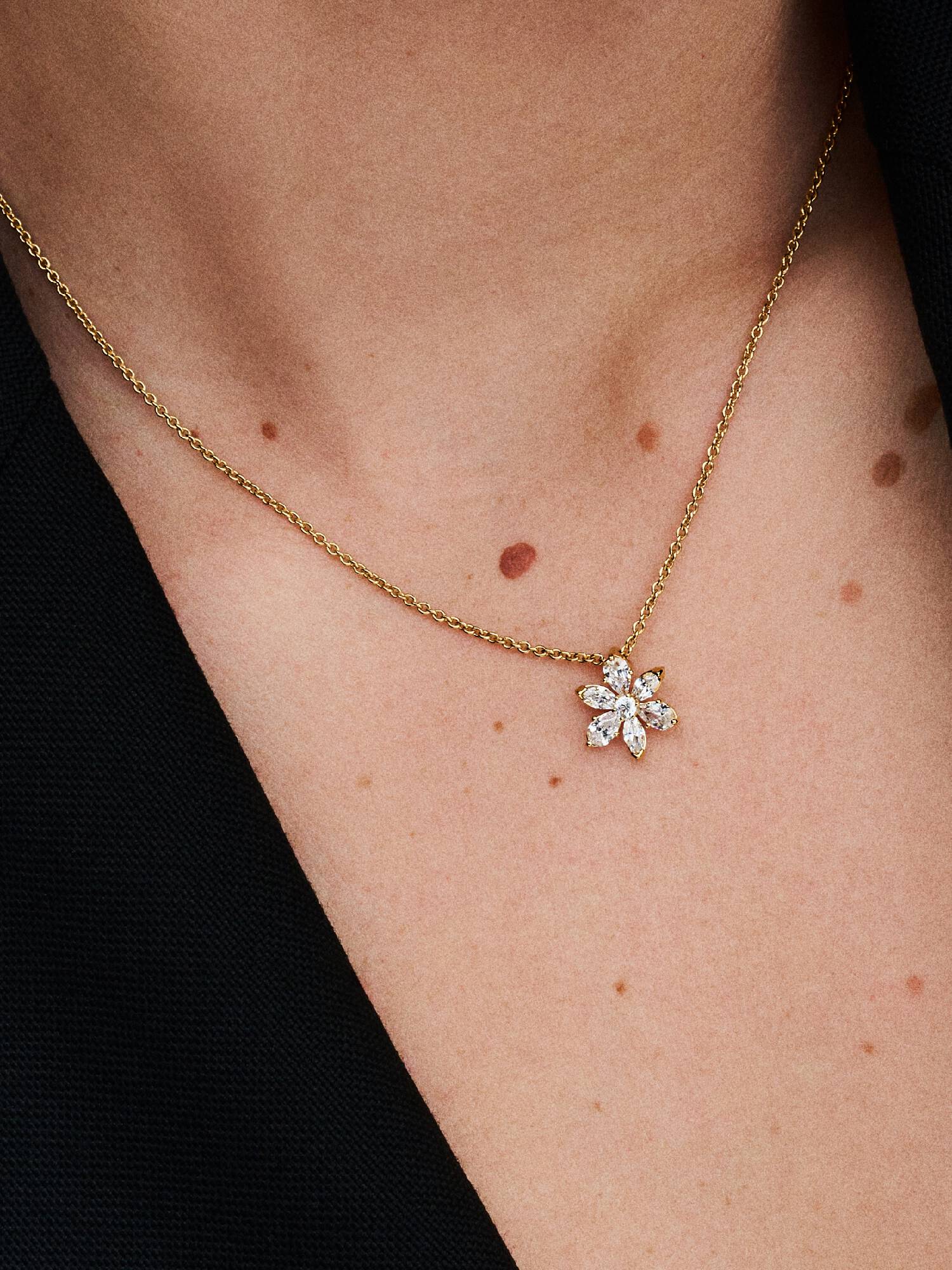 Collar con Colgante Herbario Brillante