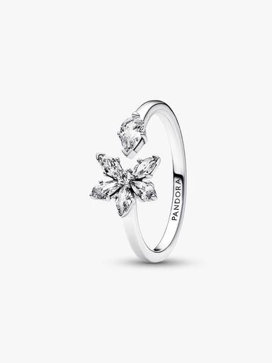 Anillo Abierto Herbario Brillante
