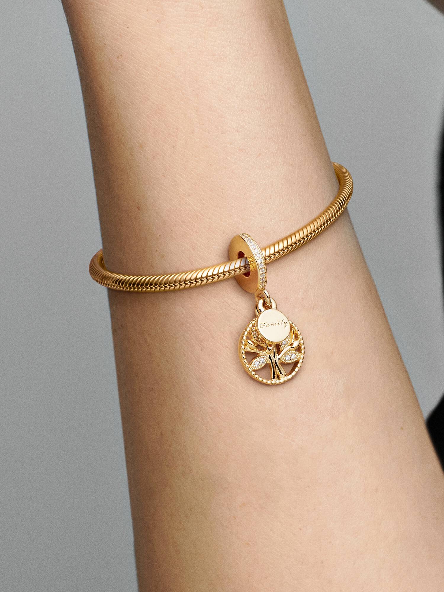Charm Colgante Árbol Genealógico Brillante