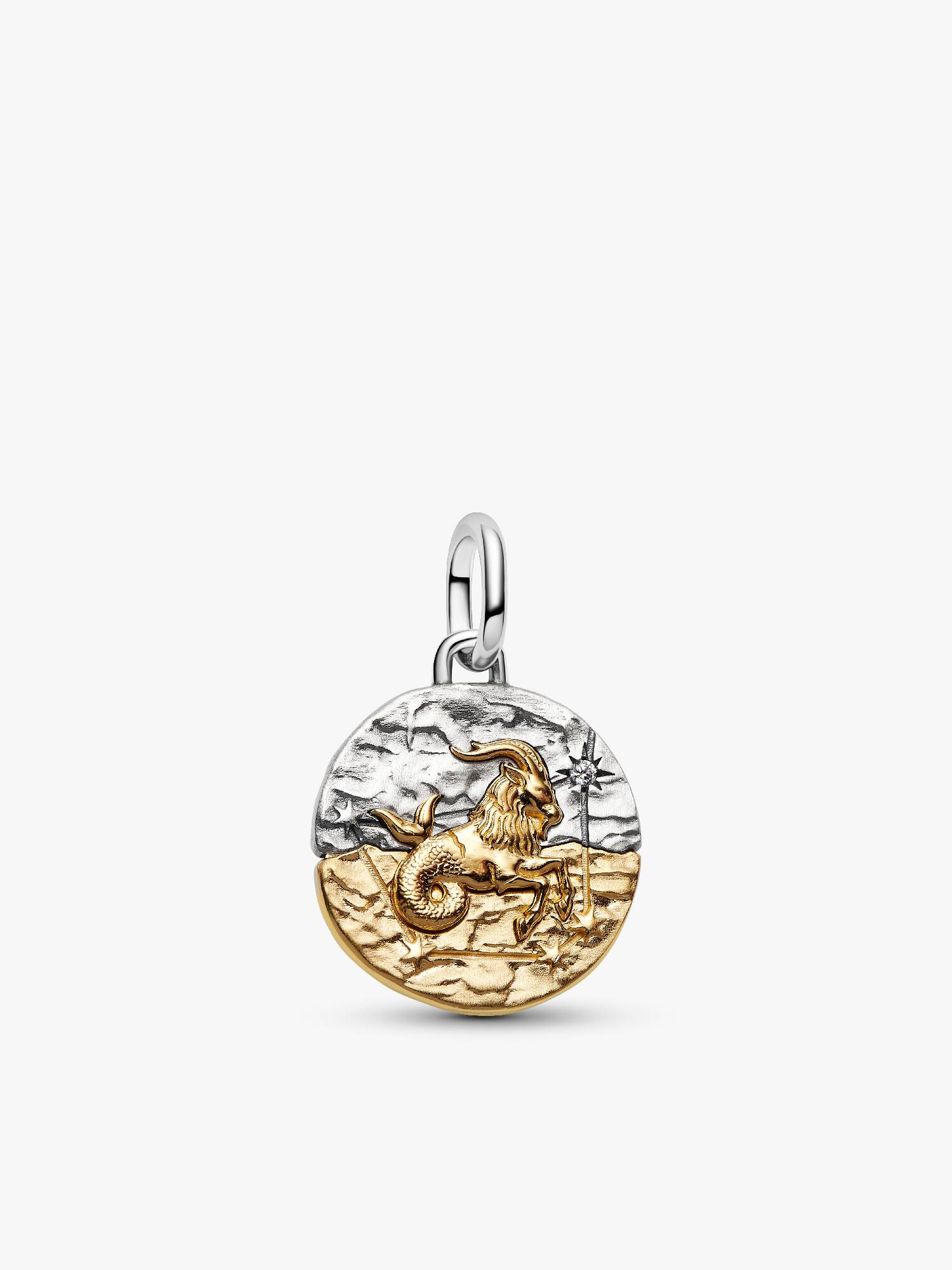 Charm Medallón Zodiaco Capricornio