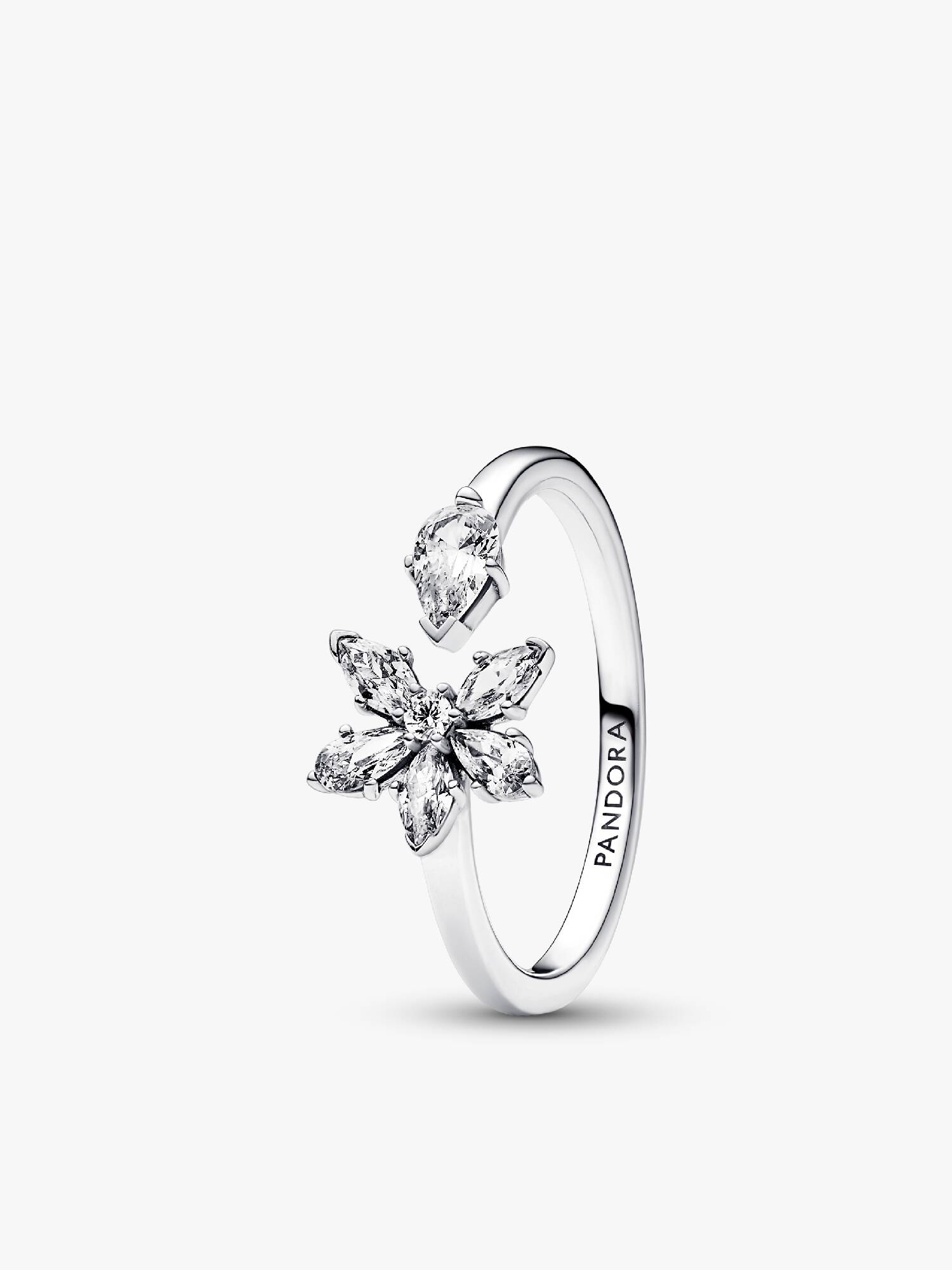 Anillo Abierto Herbario Brillante
