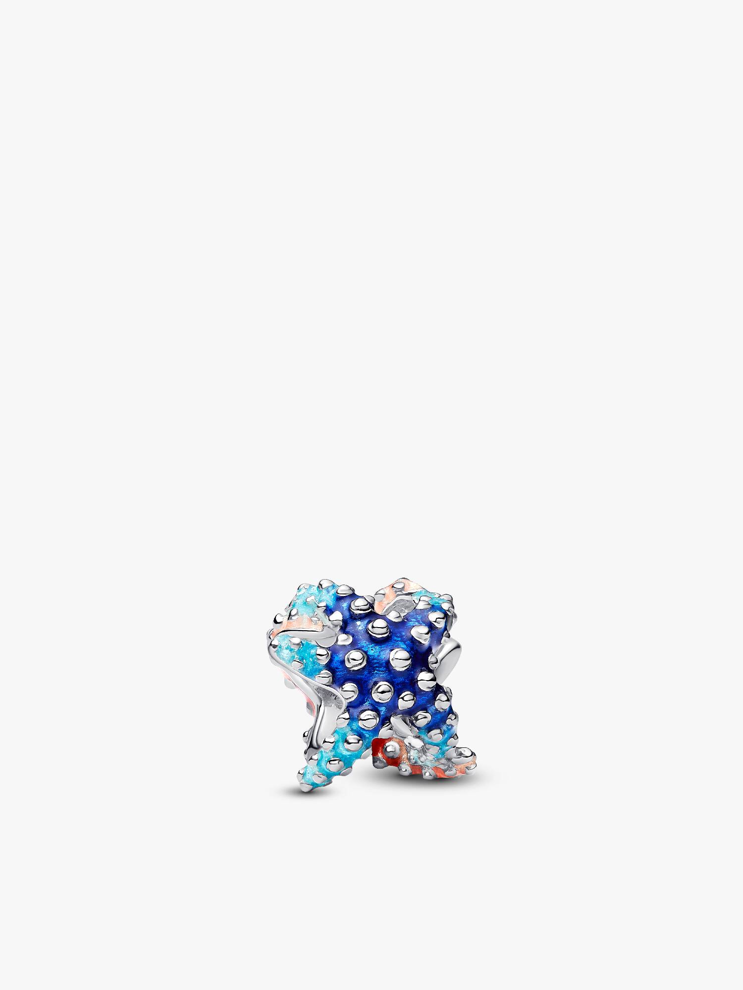 Charm Mini Estrella de Mar Colorida