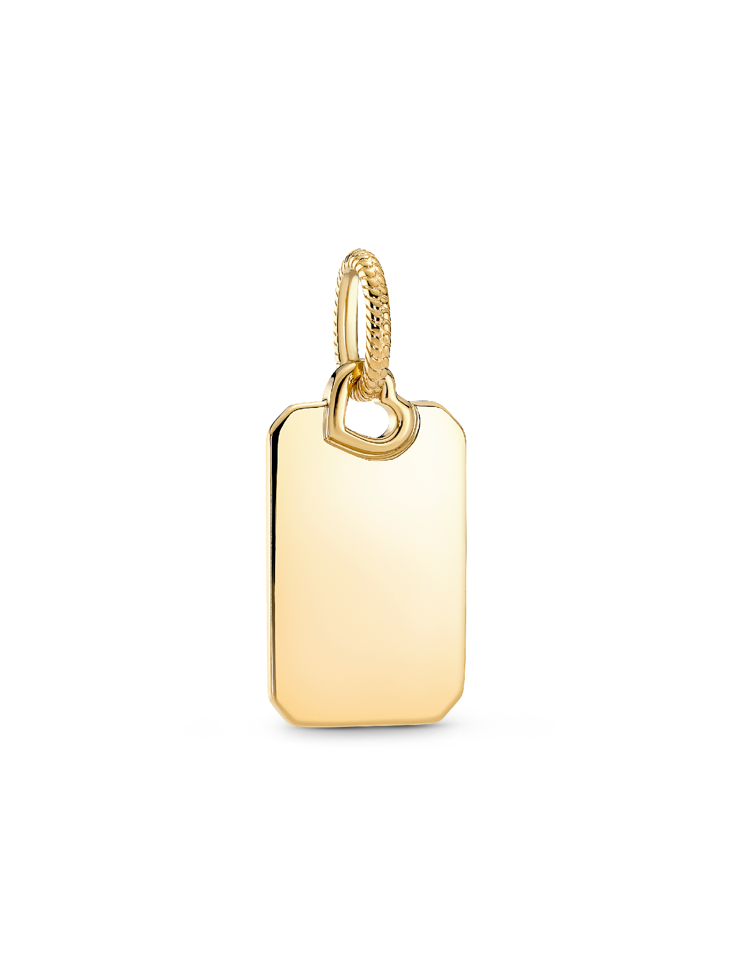 Colgante Etiqueta Rectangular Grabable
