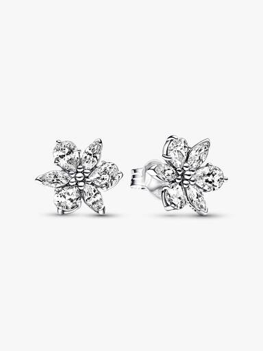 Pendientes de Botón Herbario Brillante