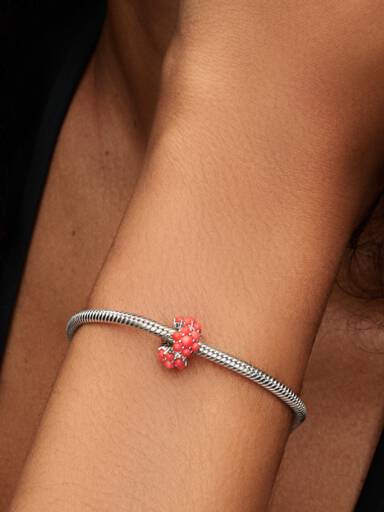Charm Océano de Color Coral