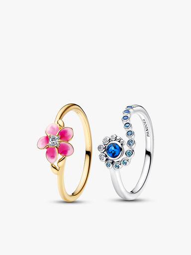 Conjunto de Regalo Disney Vaiana