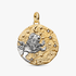 Charm Medallón XL Zodiaco Leo Charm Medallón XL Zodiaco Leo