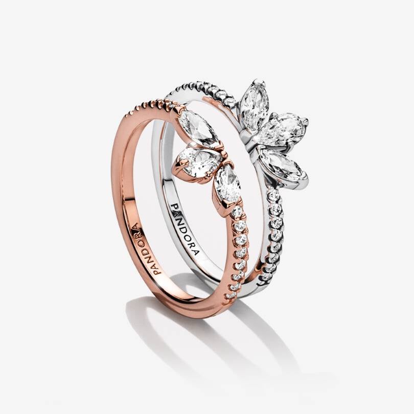 Conjunto de Anillos Herbario Brillante